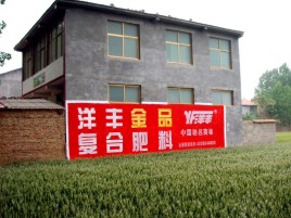 沭阳如何让墙体广告展现最大化效果