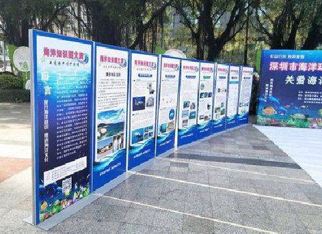 沭阳KT板的种类和知识。